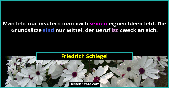 Man lebt nur insofern man nach seinen eignen Ideen lebt. Die Grundsätze sind nur Mittel, der Beruf ist Zweck an sich.... - Friedrich Schlegel