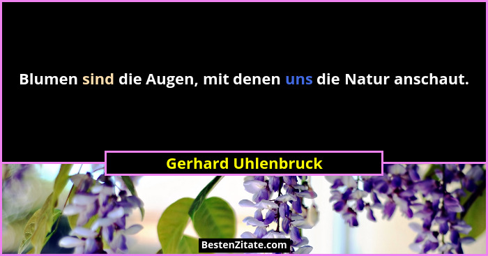 Blumen sind die Augen, mit denen uns die Natur anschaut.... - Gerhard Uhlenbruck