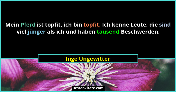 Mein Pferd ist topfit, ich bin topfit. Ich kenne Leute, die sind viel jünger als ich und haben tausend Beschwerden.... - Inge Ungewitter