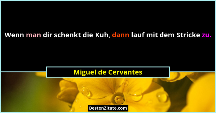 Wenn man dir schenkt die Kuh, dann lauf mit dem Stricke zu.... - Miguel de Cervantes