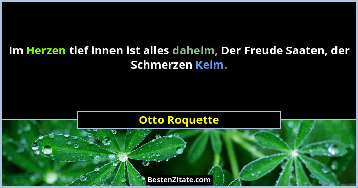 Im Herzen tief innen ist alles daheim, Der Freude Saaten, der Schmerzen Keim.... - Otto Roquette