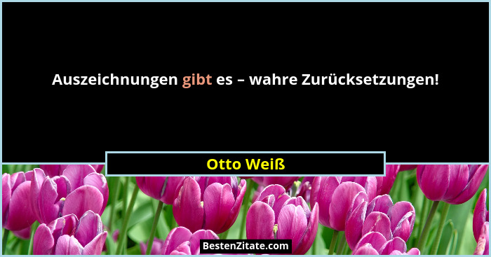 Auszeichnungen gibt es – wahre Zurücksetzungen!... - Otto Weiß
