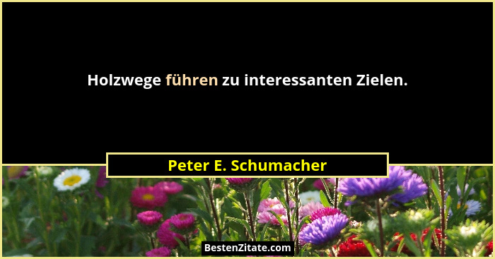 Holzwege führen zu interessanten Zielen.... - Peter E. Schumacher