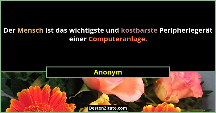 Der Mensch ist das wichtigste und kostbarste Peripheriegerät einer Computeranlage.... - Anonym
