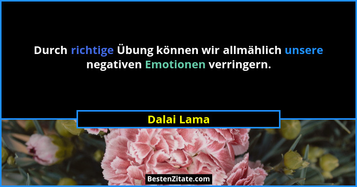 Durch richtige Übung können wir allmählich unsere negativen Emotionen verringern.... - Dalai Lama