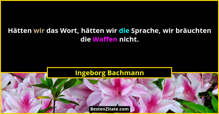 Hätten wir das Wort, hätten wir die Sprache, wir bräuchten die Waffen nicht.... - Ingeborg Bachmann