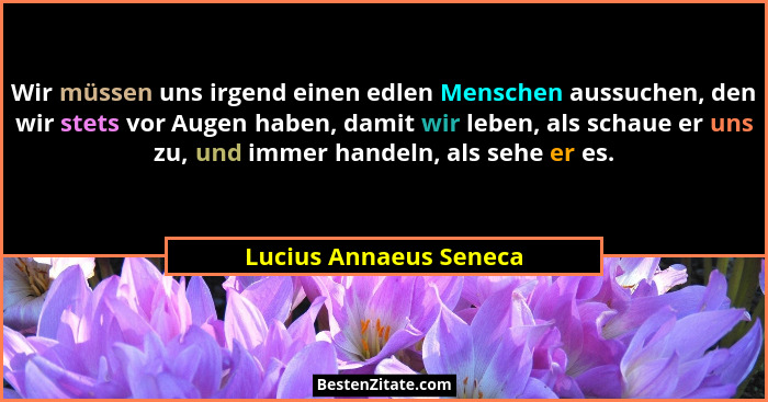 Wir müssen uns irgend einen edlen Menschen aussuchen, den wir stets vor Augen haben, damit wir leben, als schaue er uns zu, un... - Lucius Annaeus Seneca