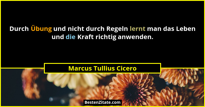 Durch Übung und nicht durch Regeln lernt man das Leben und die Kraft richtig anwenden.... - Marcus Tullius Cicero