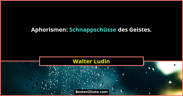 Aphorismen: Schnappschüsse des Geistes.... - Walter Ludin