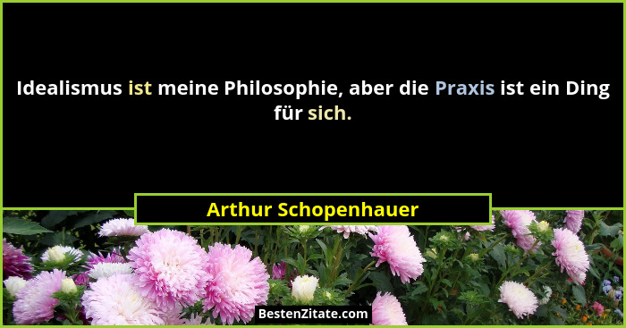 Idealismus ist meine Philosophie, aber die Praxis ist ein Ding für sich.... - Arthur Schopenhauer