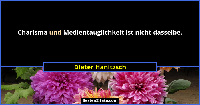 Charisma und Medientauglichkeit ist nicht dasselbe.... - Dieter Hanitzsch