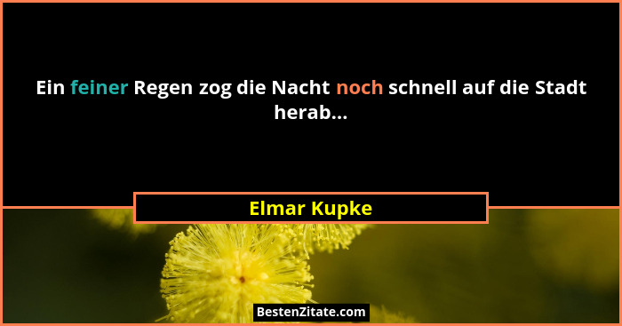 Ein feiner Regen zog die Nacht noch schnell auf die Stadt herab...... - Elmar Kupke