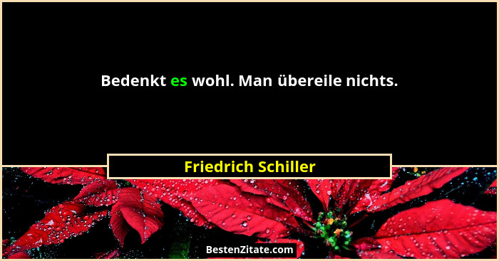 Bedenkt es wohl. Man übereile nichts.... - Friedrich Schiller