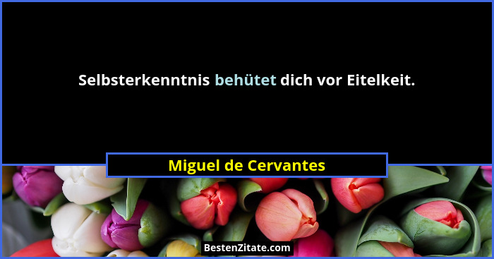 Selbsterkenntnis behütet dich vor Eitelkeit.... - Miguel de Cervantes