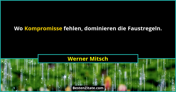 Wo Kompromisse fehlen, dominieren die Faustregeln.... - Werner Mitsch