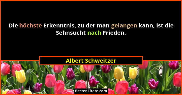 Die höchste Erkenntnis, zu der man gelangen kann, ist die Sehnsucht nach Frieden.... - Albert Schweitzer
