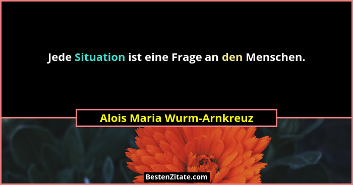 Jede Situation ist eine Frage an den Menschen.... - Alois Maria Wurm-Arnkreuz