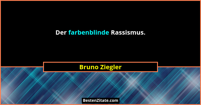 Der farbenblinde Rassismus.... - Bruno Ziegler