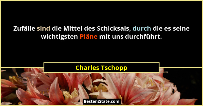 Zufälle sind die Mittel des Schicksals, durch die es seine wichtigsten Pläne mit uns durchführt.... - Charles Tschopp