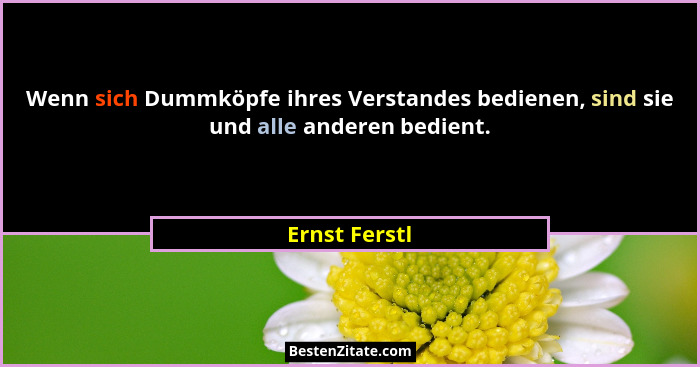 Wenn sich Dummköpfe ihres Verstandes bedienen, sind sie und alle anderen bedient.... - Ernst Ferstl