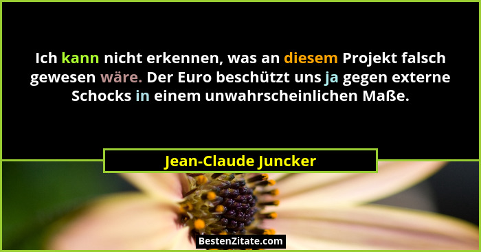 Ich kann nicht erkennen, was an diesem Projekt falsch gewesen wäre. Der Euro beschützt uns ja gegen externe Schocks in einem unw... - Jean-Claude Juncker