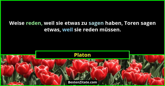 Weise reden, weil sie etwas zu sagen haben, Toren sagen etwas, weil sie reden müssen.... - Platon