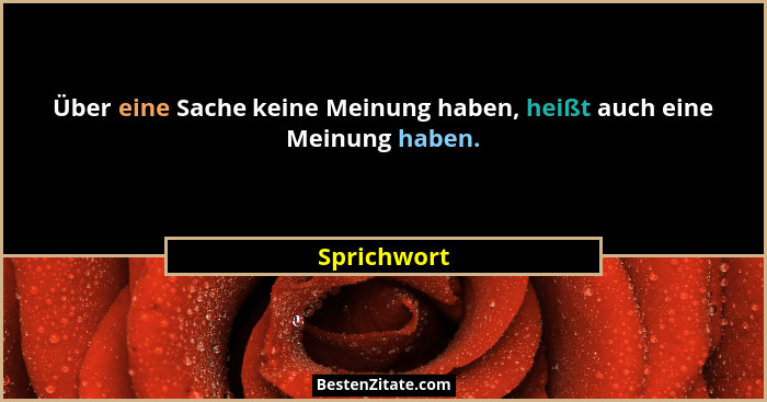 Über eine Sache keine Meinung haben, heißt auch eine Meinung haben.... - Sprichwort