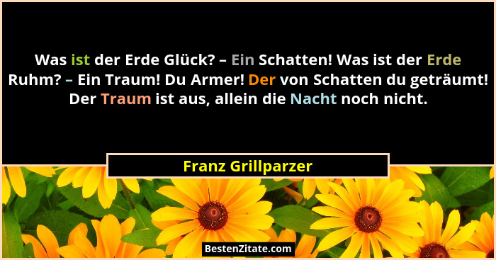 Was ist der Erde Glück? – Ein Schatten! Was ist der Erde Ruhm? – Ein Traum! Du Armer! Der von Schatten du geträumt! Der Traum ist... - Franz Grillparzer
