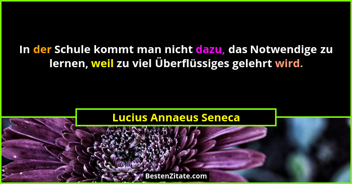 In der Schule kommt man nicht dazu, das Notwendige zu lernen, weil zu viel Überflüssiges gelehrt wird.... - Lucius Annaeus Seneca