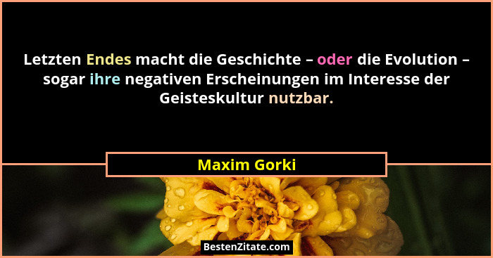 Letzten Endes macht die Geschichte – oder die Evolution – sogar ihre negativen Erscheinungen im Interesse der Geisteskultur nutzbar.... - Maxim Gorki