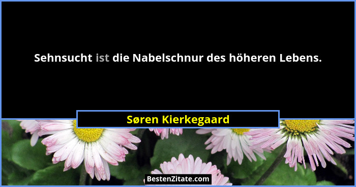 Sehnsucht ist die Nabelschnur des höheren Lebens.... - Søren Kierkegaard