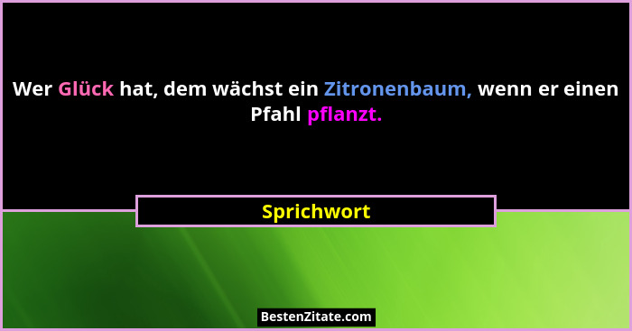 Wer Glück hat, dem wächst ein Zitronenbaum, wenn er einen Pfahl pflanzt.... - Sprichwort