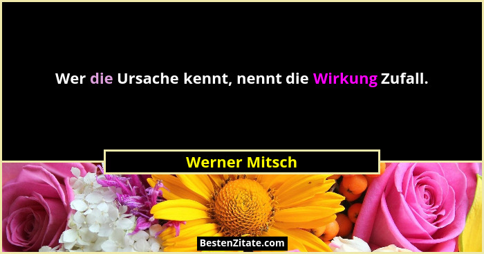 Wer die Ursache kennt, nennt die Wirkung Zufall.... - Werner Mitsch
