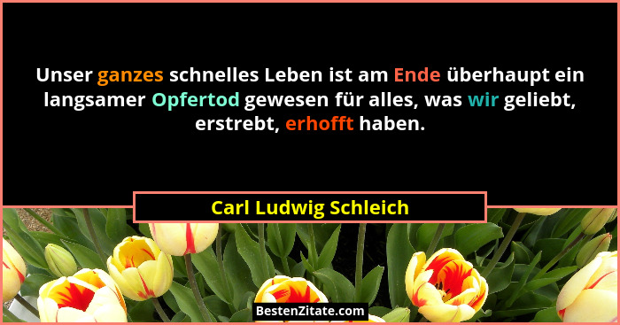 Unser ganzes schnelles Leben ist am Ende überhaupt ein langsamer Opfertod gewesen für alles, was wir geliebt, erstrebt, erhofft... - Carl Ludwig Schleich