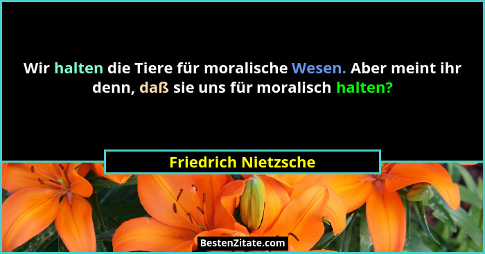 Wir halten die Tiere für moralische Wesen. Aber meint ihr denn, daß sie uns für moralisch halten?... - Friedrich Nietzsche