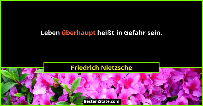 Leben überhaupt heißt in Gefahr sein.... - Friedrich Nietzsche