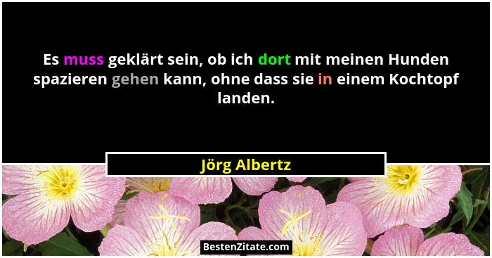 Es muss geklärt sein, ob ich dort mit meinen Hunden spazieren gehen kann, ohne dass sie in einem Kochtopf landen.... - Jörg Albertz