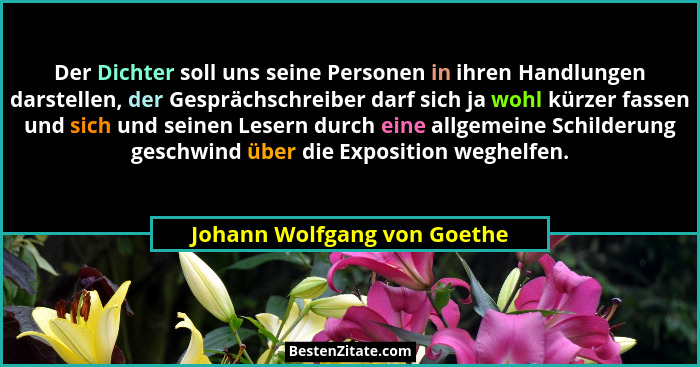 Der Dichter soll uns seine Personen in ihren Handlungen darstellen, der Gesprächschreiber darf sich ja wohl kürzer fassen... - Johann Wolfgang von Goethe