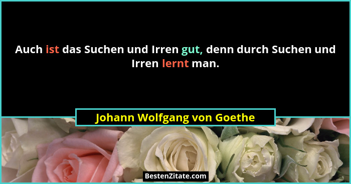 Auch ist das Suchen und Irren gut, denn durch Suchen und Irren lernt man.... - Johann Wolfgang von Goethe