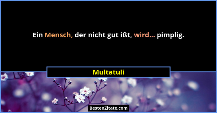 Ein Mensch, der nicht gut ißt, wird... pimplig.... - Multatuli