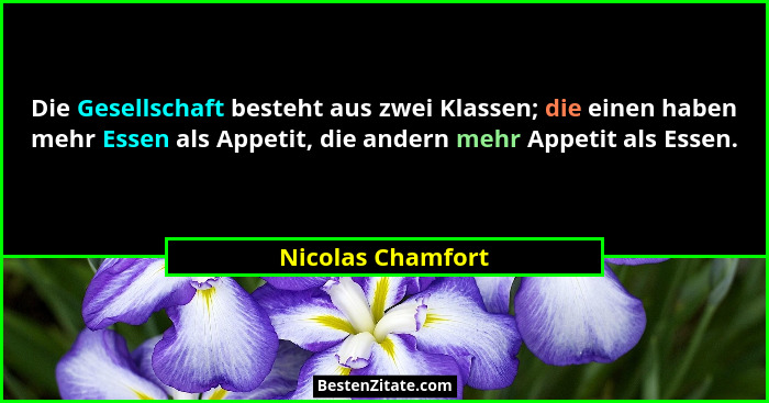 Die Gesellschaft besteht aus zwei Klassen; die einen haben mehr Essen als Appetit, die andern mehr Appetit als Essen.... - Nicolas Chamfort