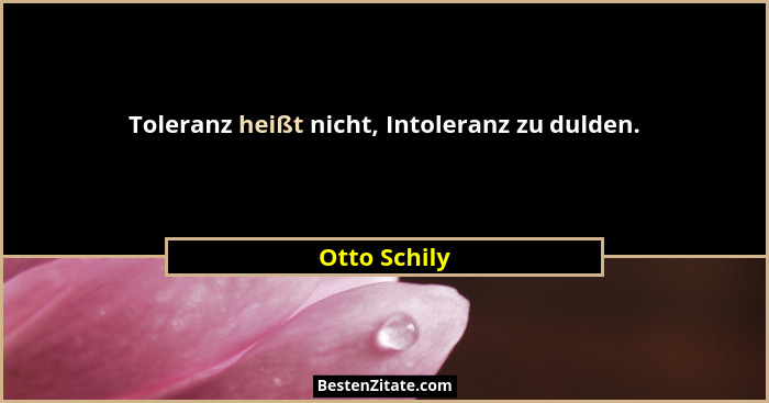 Toleranz heißt nicht, Intoleranz zu dulden.... - Otto Schily