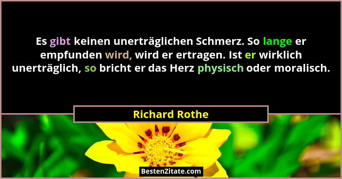 Es gibt keinen unerträglichen Schmerz. So lange er empfunden wird, wird er ertragen. Ist er wirklich unerträglich, so bricht er das He... - Richard Rothe