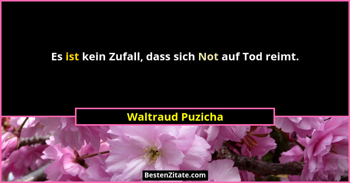 Es ist kein Zufall, dass sich Not auf Tod reimt.... - Waltraud Puzicha