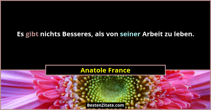Es gibt nichts Besseres, als von seiner Arbeit zu leben.... - Anatole France