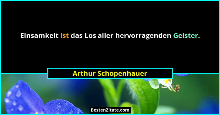 Einsamkeit ist das Los aller hervorragenden Geister.... - Arthur Schopenhauer