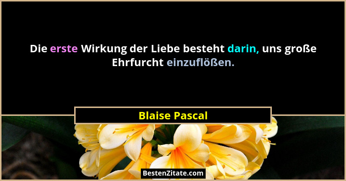 Die erste Wirkung der Liebe besteht darin, uns große Ehrfurcht einzuflößen.... - Blaise Pascal