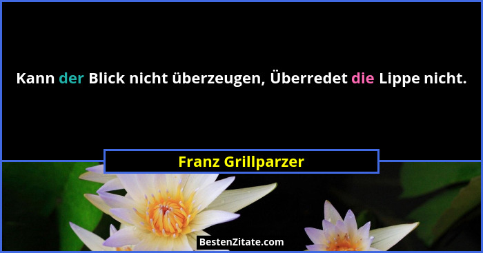 Kann der Blick nicht überzeugen, Überredet die Lippe nicht.... - Franz Grillparzer