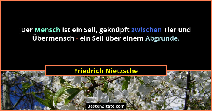 Der Mensch ist ein Seil, geknüpft zwischen Tier und Übermensch - ein Seil über einem Abgrunde.... - Friedrich Nietzsche