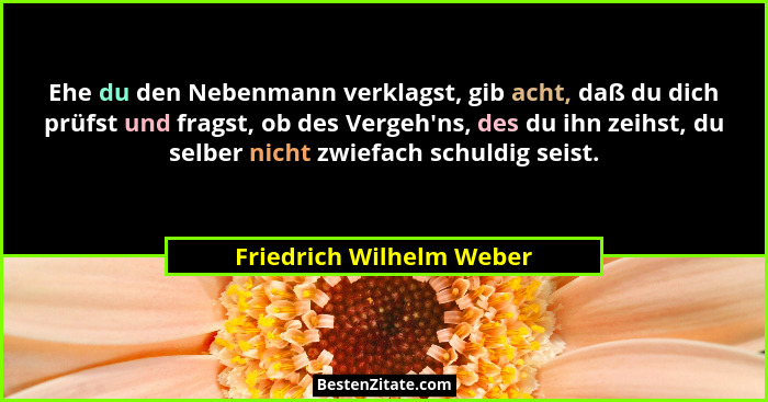 Ehe du den Nebenmann verklagst, gib acht, daß du dich prüfst und fragst, ob des Vergeh'ns, des du ihn zeihst, du selber... - Friedrich Wilhelm Weber